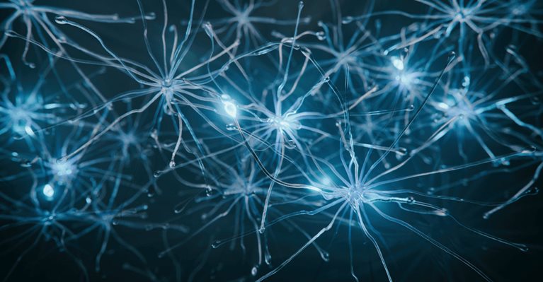 AI a firemní IT: Vyplatí se veřejný či privátní cloud s vlastní IT infrastrukturou? hero image