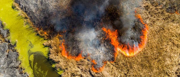 Ako nestratiť to najcennejšie? Mať čo najviac záloh, a teda riešiť deduplikáciu ich obsahu hero image