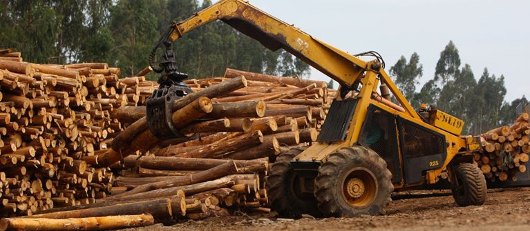 Zajišťujeme klíčové firemní procesy pro Wood & Paper hero image