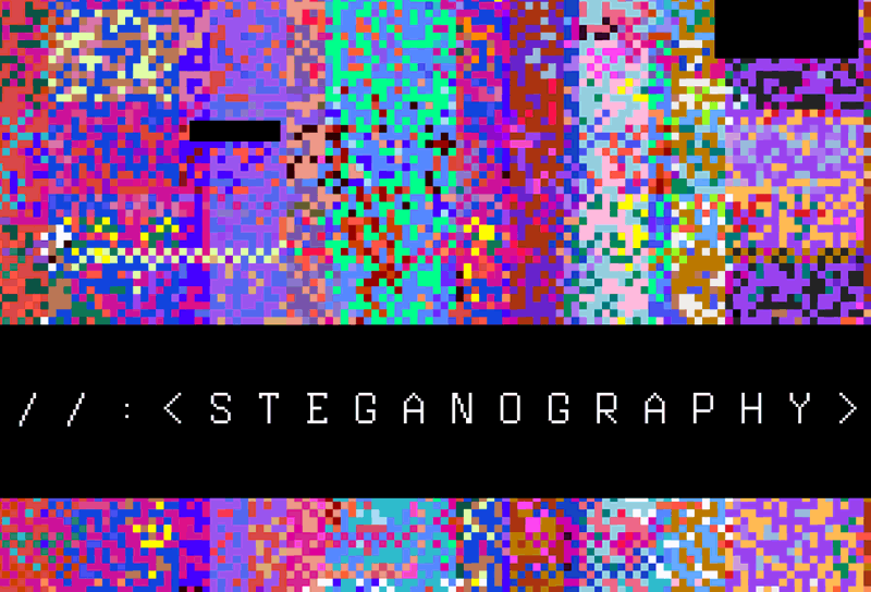 BLOG Co znamená, když bezpečák řekne stego